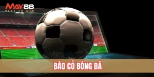 bào cỏ bóng đá