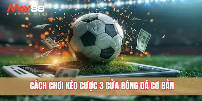 Cách chơi kèo cược 3 cửa bóng đá cơ bản