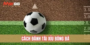 cách đánh Tài Xỉu bóng đá